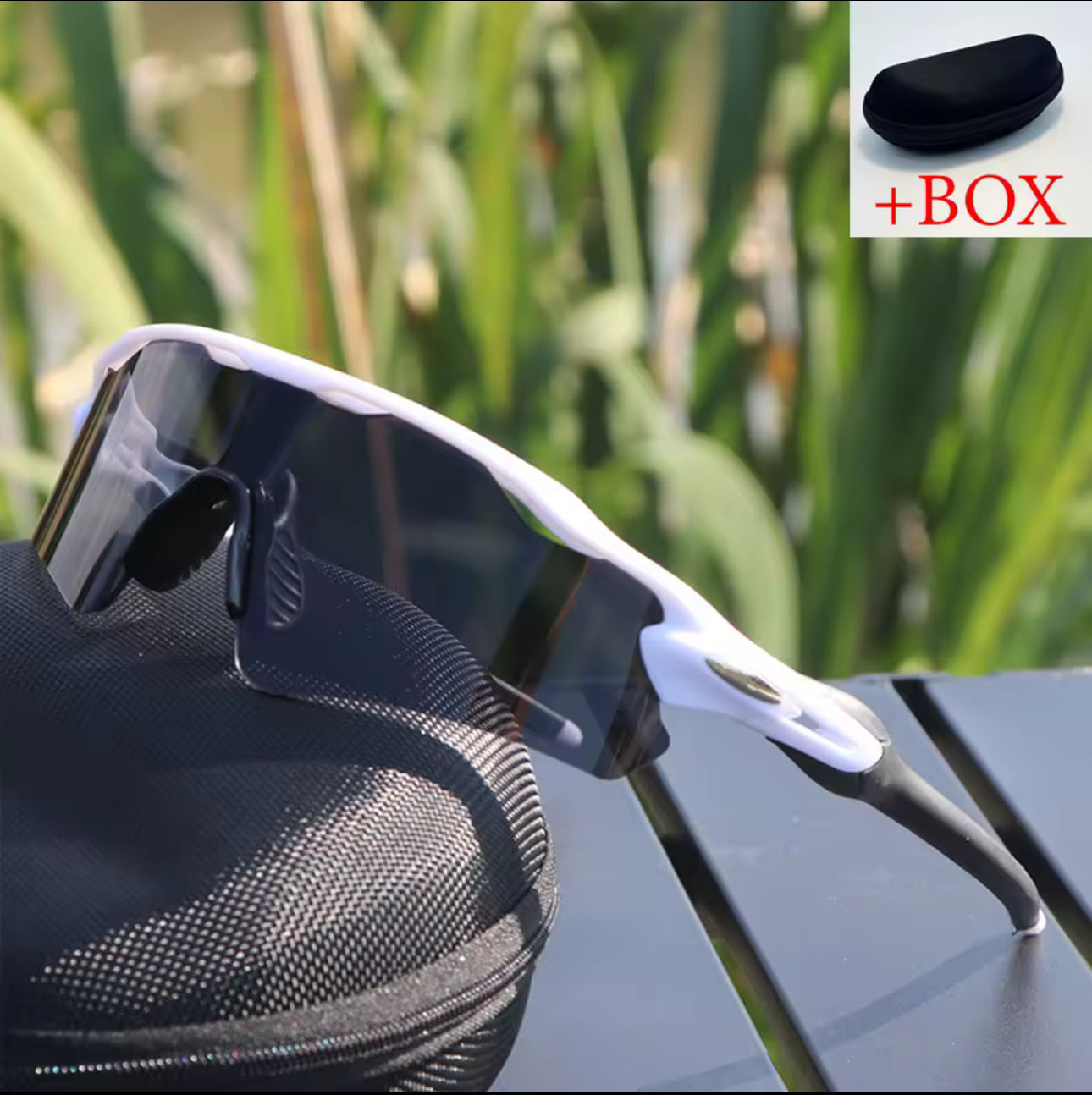 SAGA Stride Sunglasses